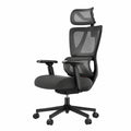 Sedia Ergonomica ProtoArc EC100 con Supporto Lombare e Regolazioni Complete, Nera